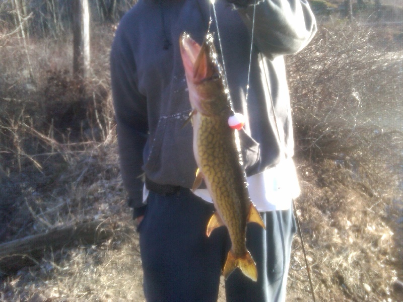 Harrington Park fishing photo 2