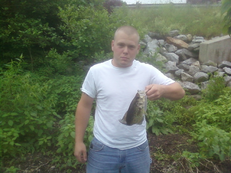 Rock Bass