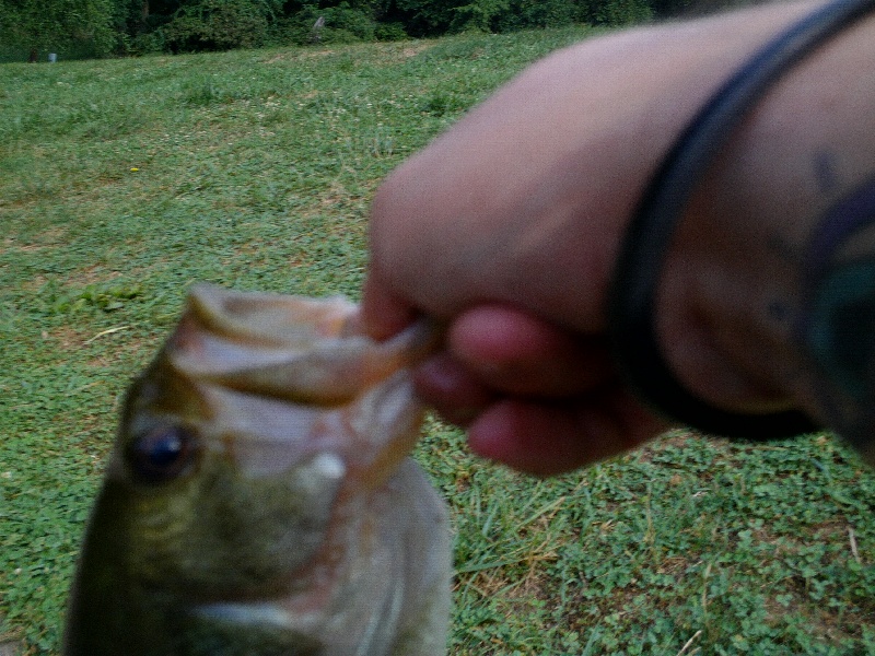 Holmdel Township fishing photo 0