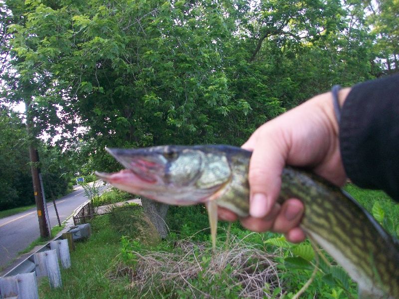 Aberdeen Township fishing photo 4