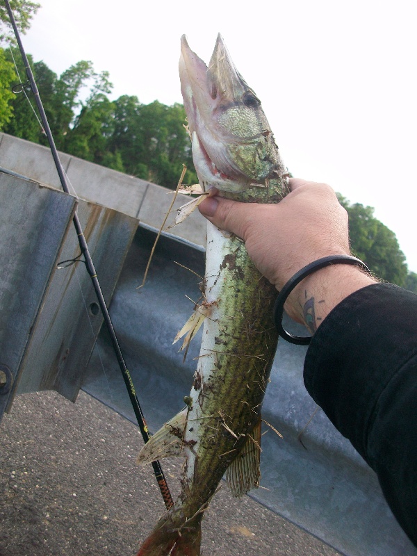 Hazlet Township fishing photo 5