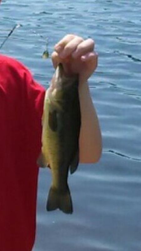 Bass near Newfield