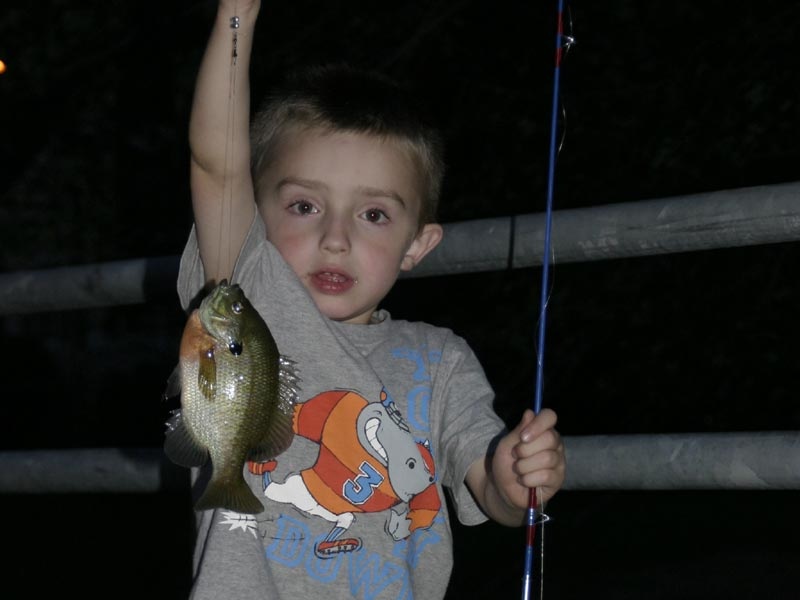 gotta love sunfish, kids do!