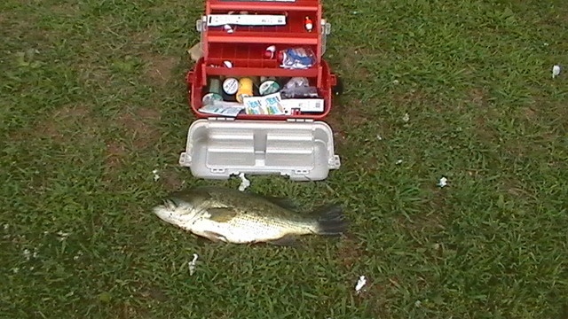 Largmouth bass 3.5 lb. near Farmingdale