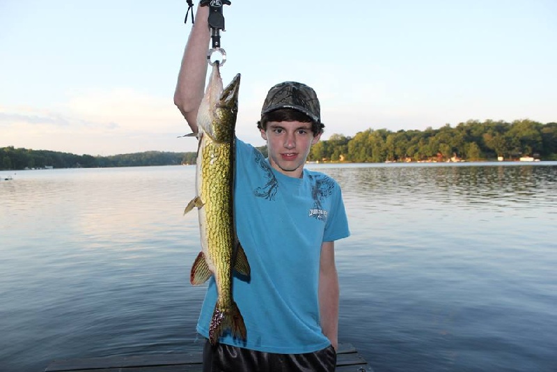 Nice chain pickerel near Victory Gardens