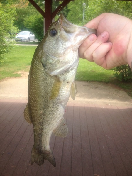 Regular Fishing Hole near South River