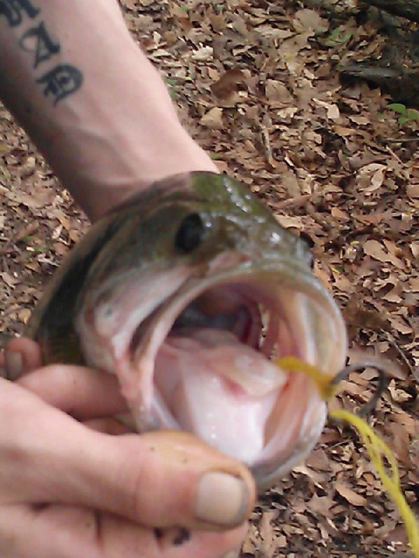 lgmouth bass near Swedesboro