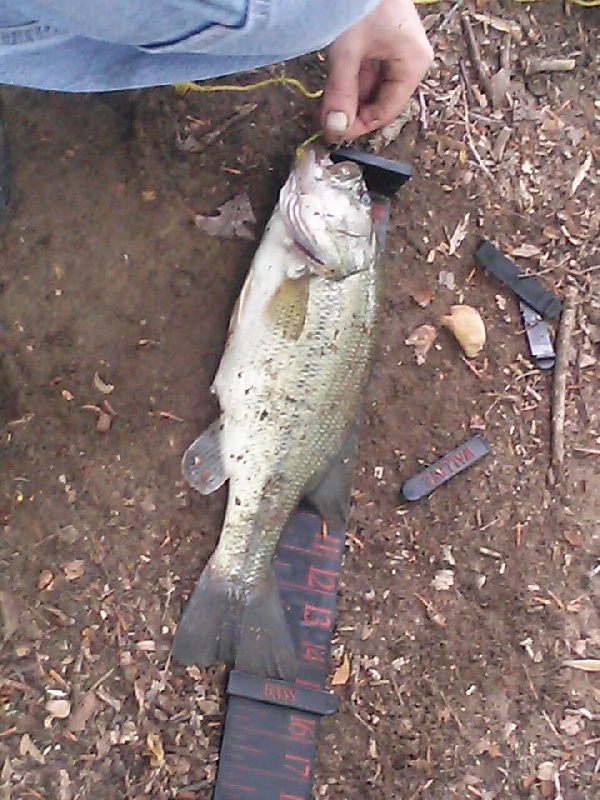 Penns Grove fishing photo 5