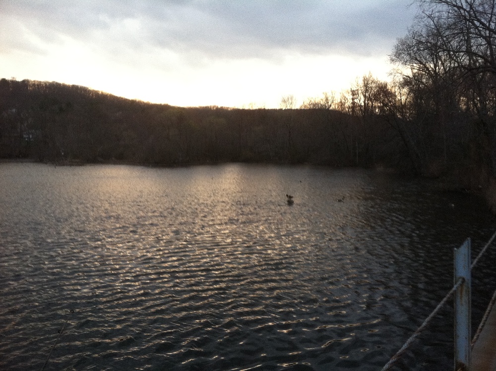 Oldham Pond near Prospect Park