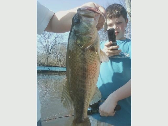 Big Bass near South River