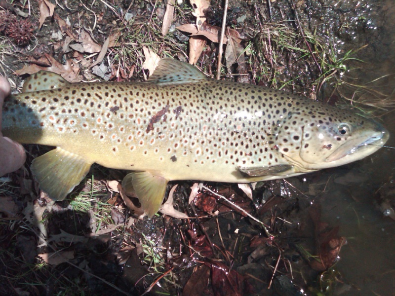 Opening day 2011 near Willingboro Township