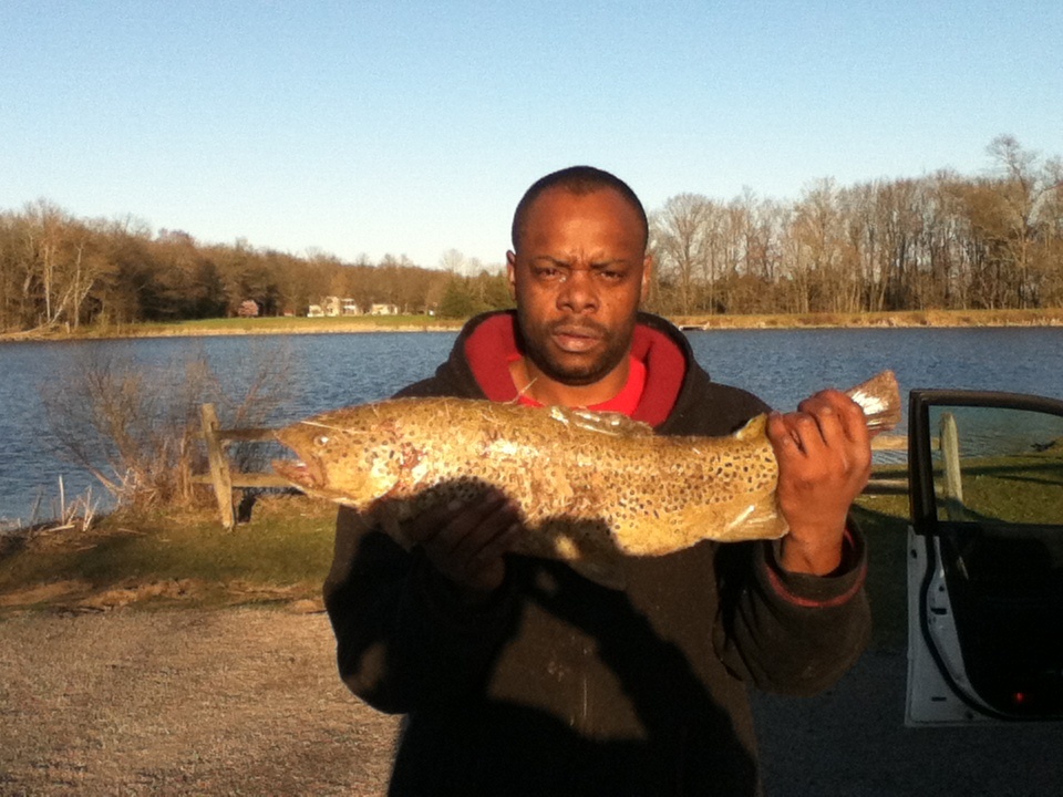 Brown trout near West Amwell Township