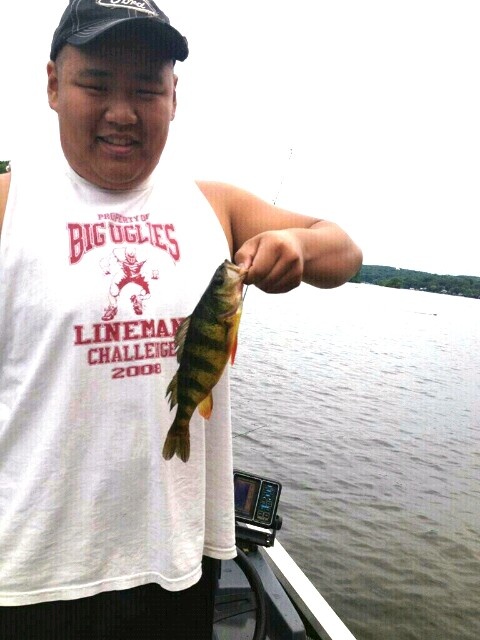 Yellow Perch near Hopatcong