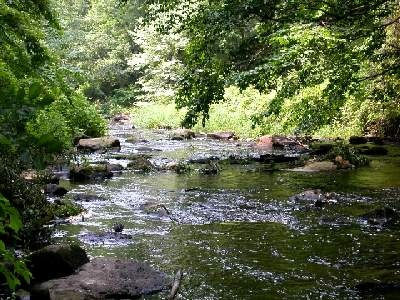 Lamington River near Mendham