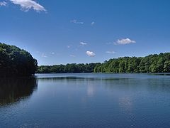 Farrington Lake near Jamesburg