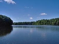 Farrington Lake