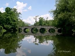 Paulins Kill river near Branchville