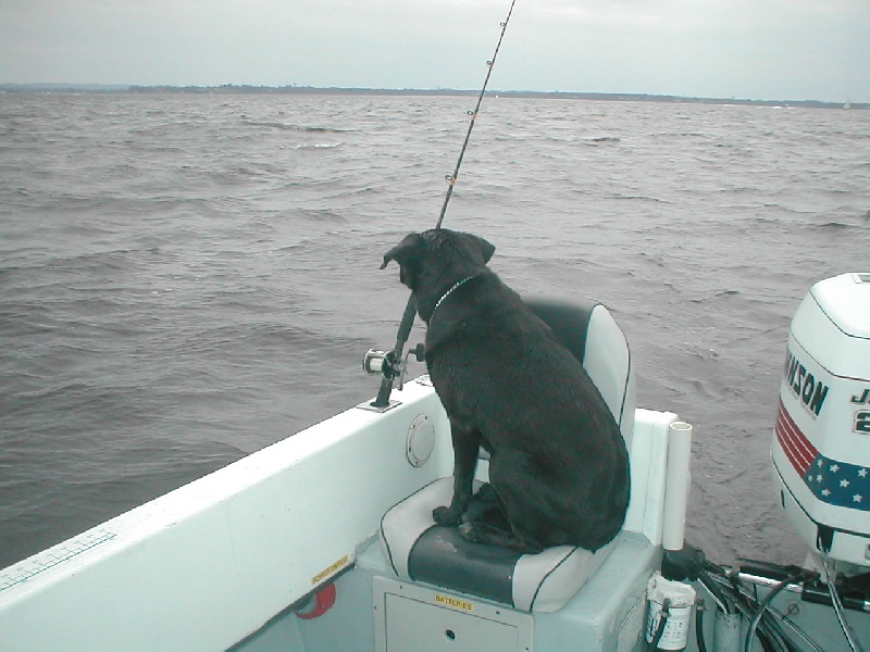 Hazlet Township fishing photo 3