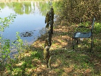 Farm pond Metler's Lane Fishing Report