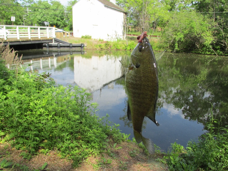 Millstone fishing photo 0