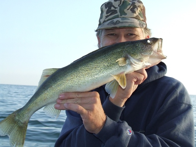 Lake Erie Walleye