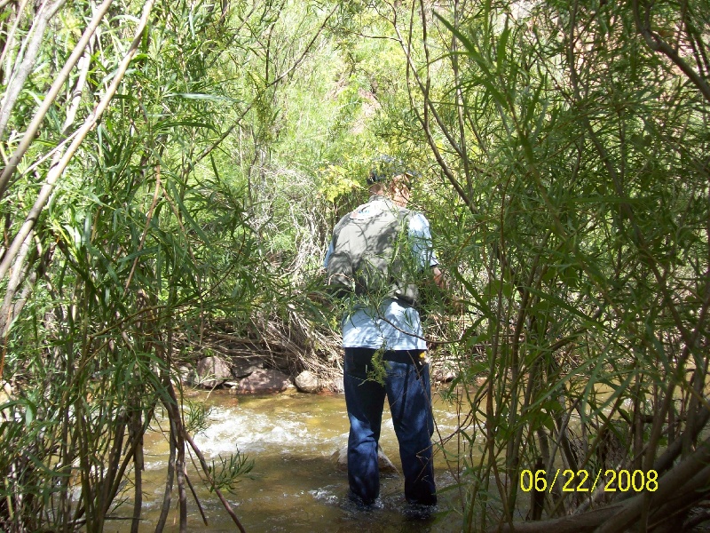 strem fishing  in jemez