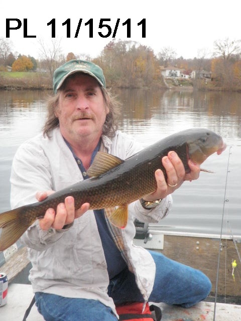 22"White Sucker near Pompton Lakes