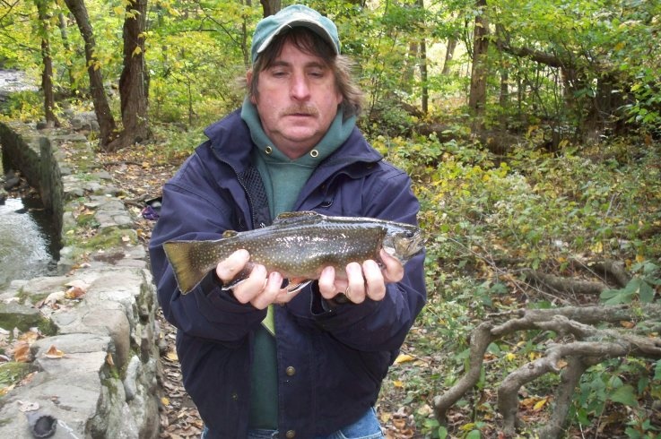 Brookie near Lincoln Park