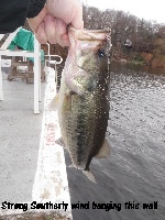 Shore Fishing late November at Cupsaw Lake Fishing Report