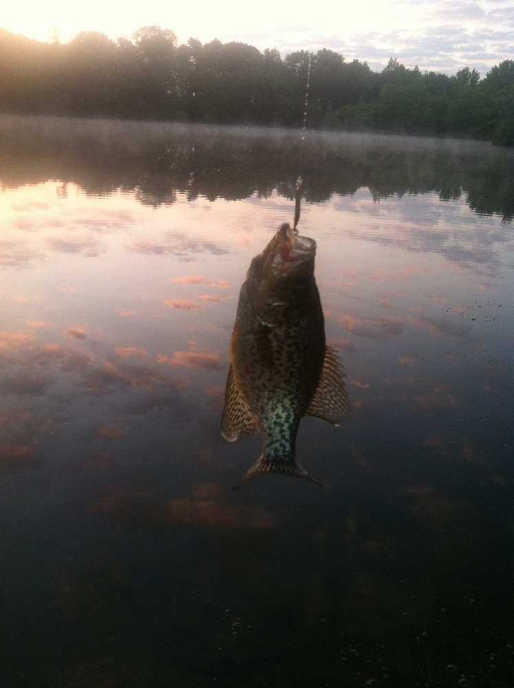 Crappie near Penns Grove