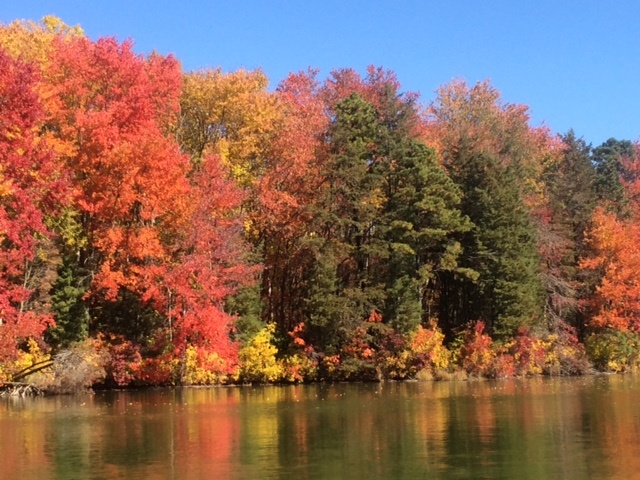 Fall..... near Pine Hill