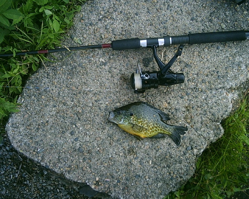 6/10/08 - Farm Pond - Framingham, MA