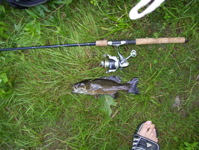 7/11/09 - Penobscot River