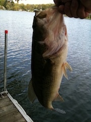 Ogdensburg fishing photo 1