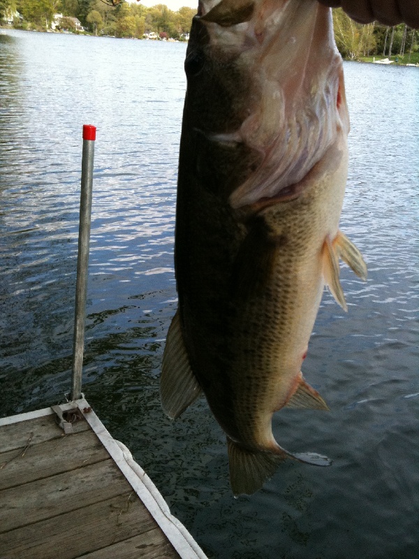 Branchville fishing photo 3