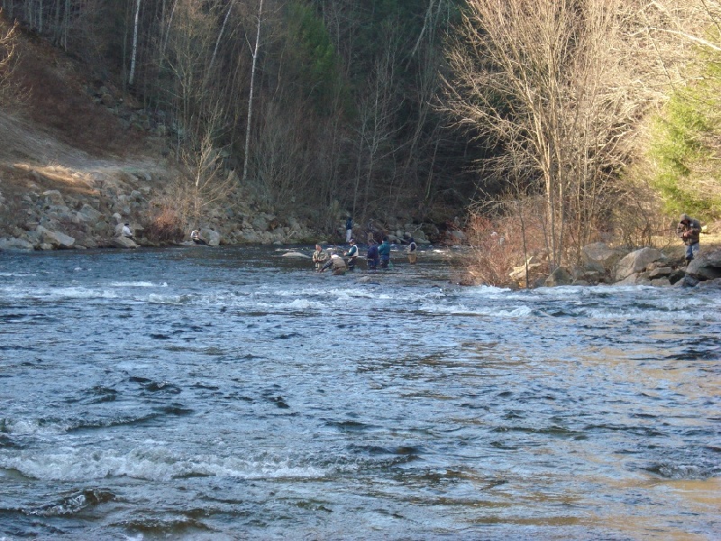 Great Fly Fishing