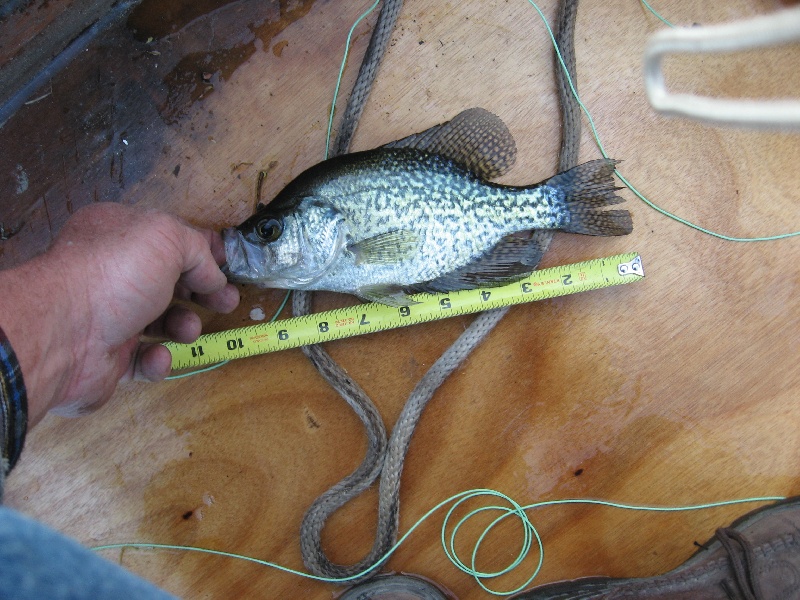 crappie point near Franklin Lakes