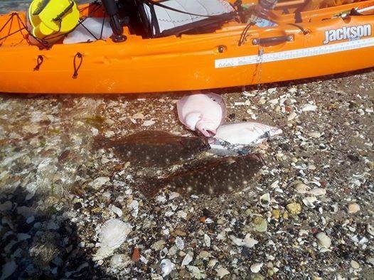 Fruitful Kayak Trip near Longport