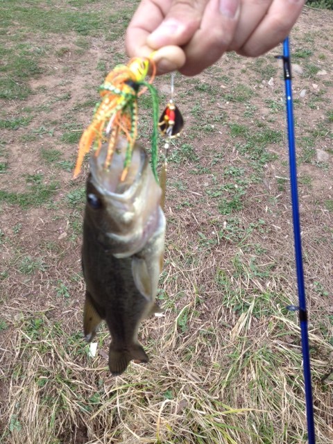 my first largemouth bass near Allendale