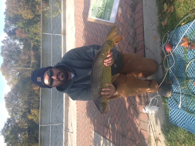 Carp 3 near Paulsboro