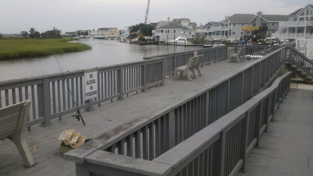 Stone Harbor fishing photo 3