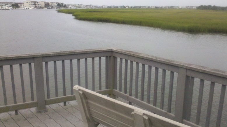 Sea Isle City fishing photo 1