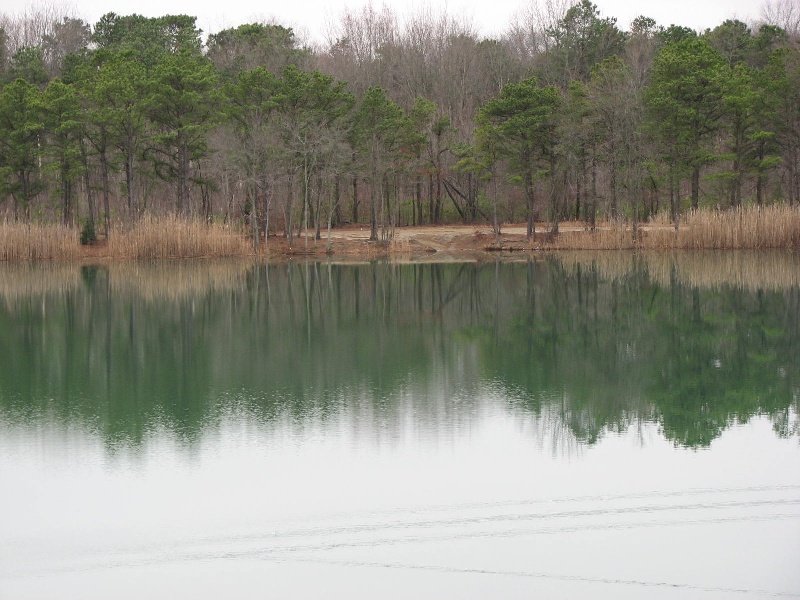 Oak Pond near Chesilhurst