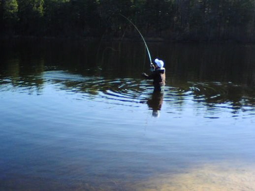 Hammonton Lake near Hammonton