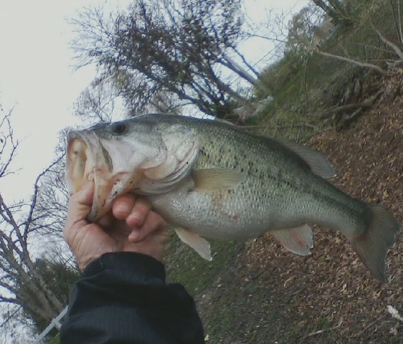 Northfield fishing photo 0