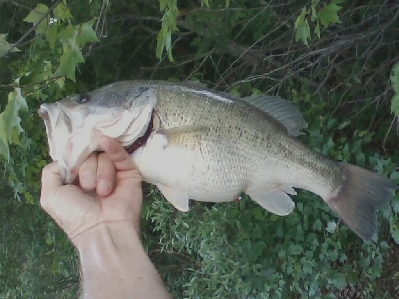 Northfield fishing photo 1