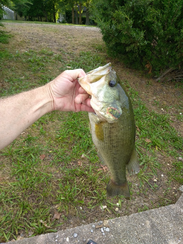 Somers Point fishing photo 4