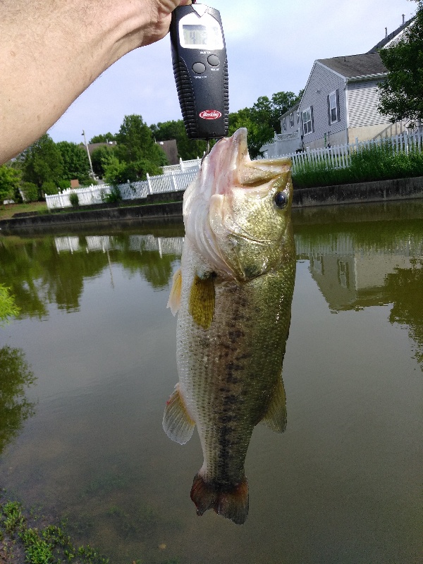 Weymouth Township fishing photo 5