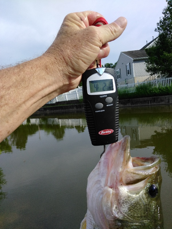 Egg Harbor City fishing photo 3