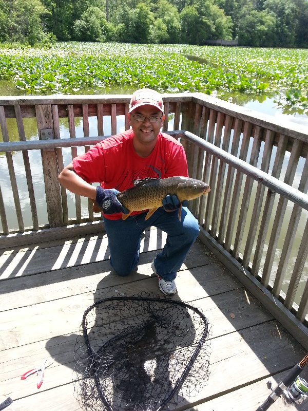 Smithville Carp near North Hanover Township